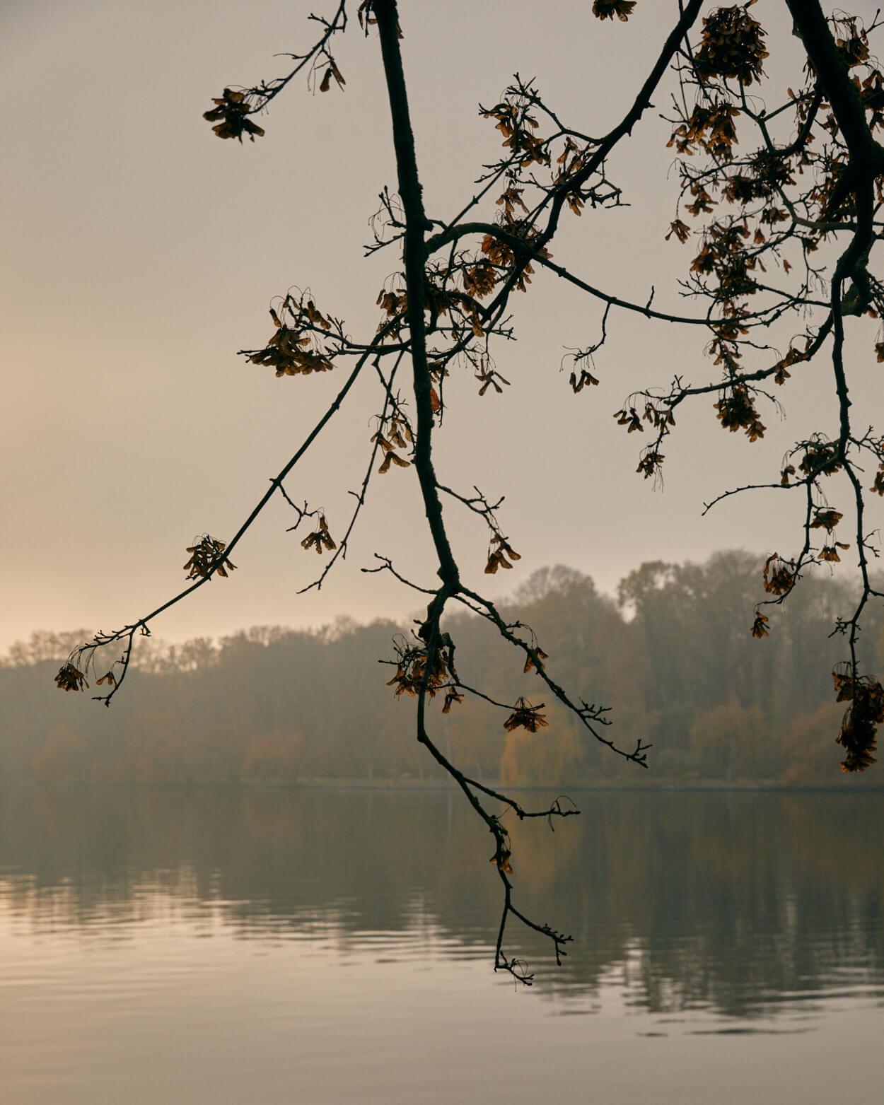 The Artist Behind Berlin’s World-Class Spatial Sound Studio - Slowness